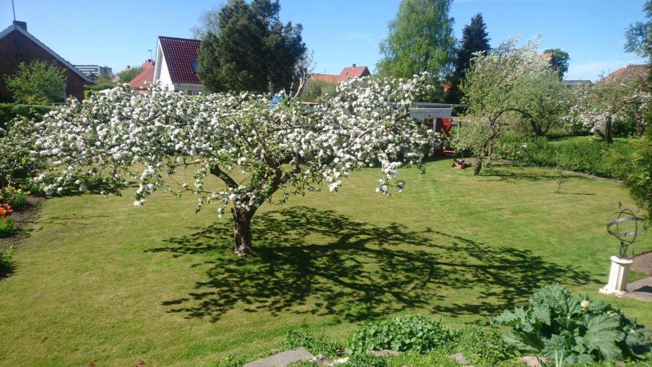 Bymarkens B&B 罗斯基勒 外观 照片